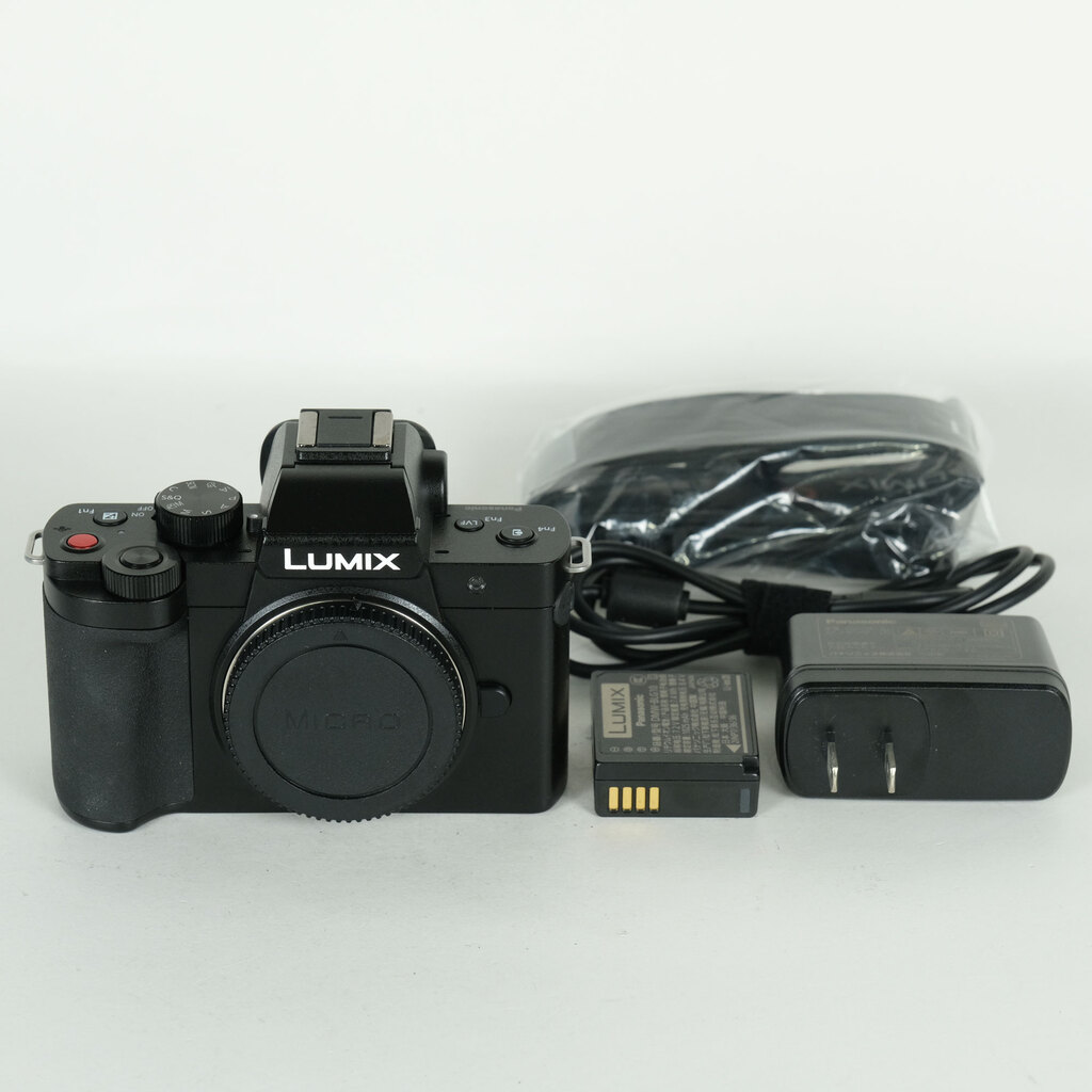 Panasonic LUMIX G100D 本体のみ【匿名配送】【送料込み】 Panasonic LUMIX DC-G100D ボディの出品 | ONE SCENE（ワンシーン）
