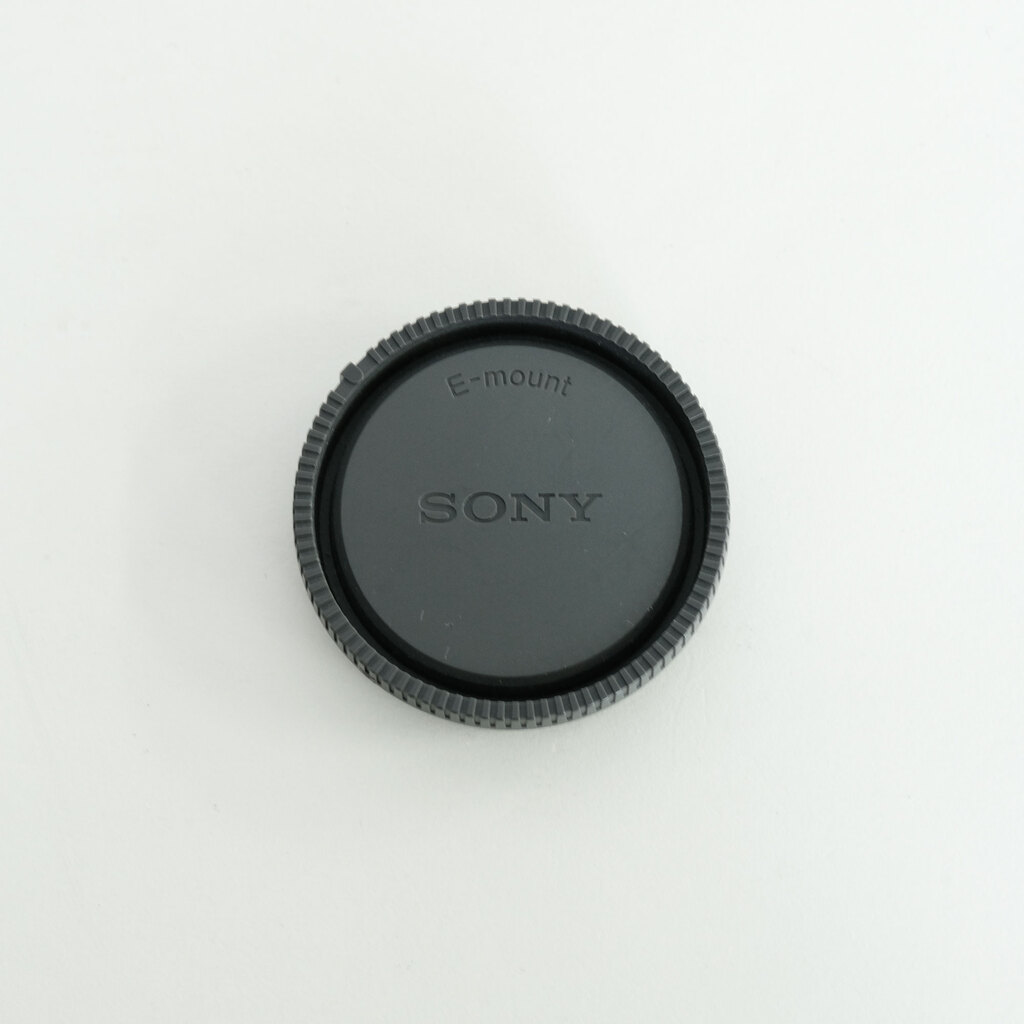 SONY FE 24-105mm F4 G OSS SEL24105G