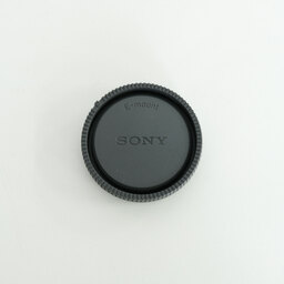 SONY FE 24-105mm F4 G OSS SEL24105G