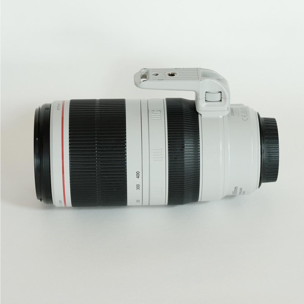 Canon EF100-400mm F4.5-5.6L IS II USM