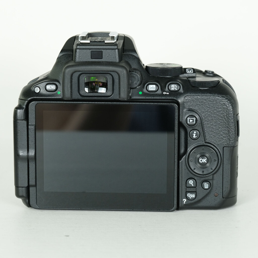 Nikon D5500