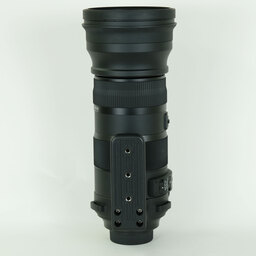 SIGMA 150-600mm F5-6.3 DG OS HSM｜Sports [ニコンF用]