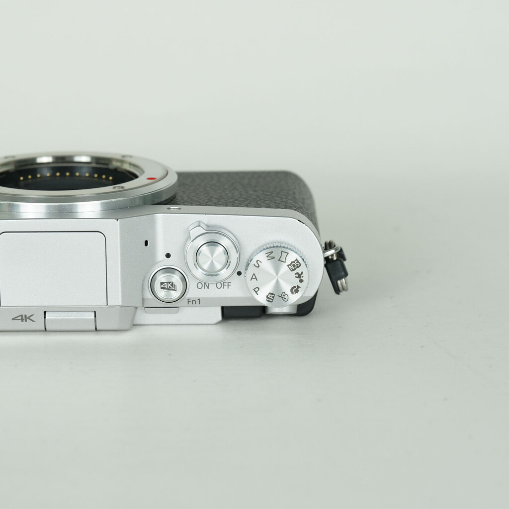 Panasonic LUMIX DC-GF9 ボディ シルバーの出品 | ONE SCENE（ワンシーン）