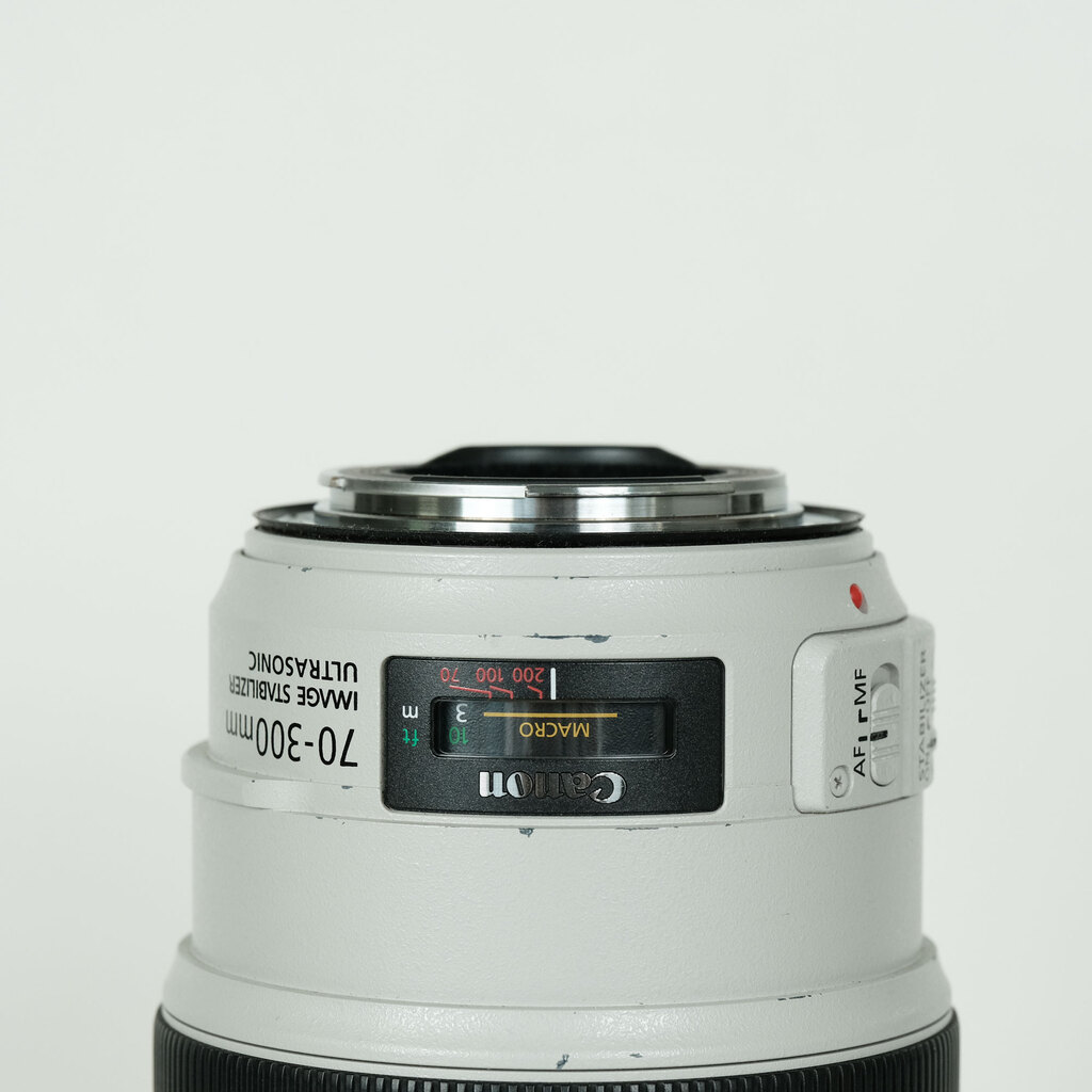 Canon EF70-300mm F4-5.6L IS USM