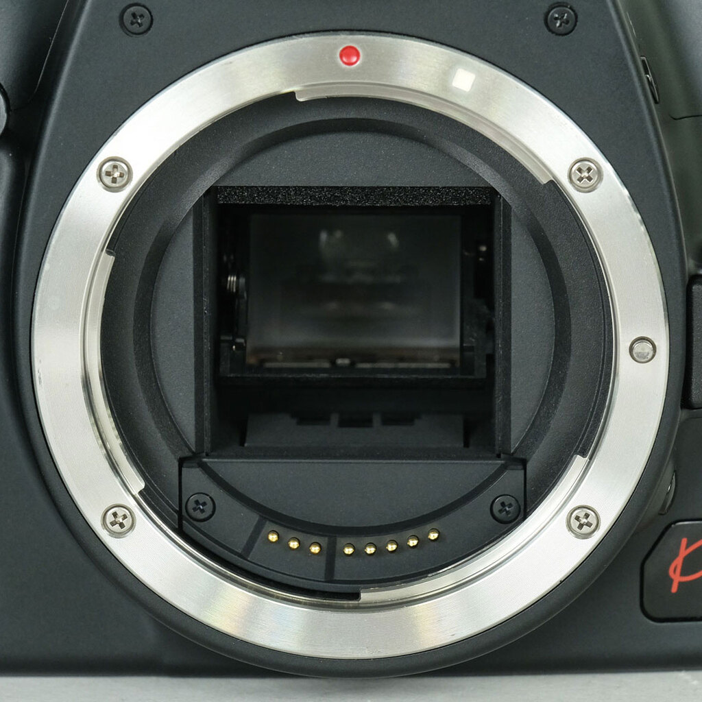 Canon EOS Kiss X2 ボディの出品 | ONE SCENE（ワンシーン）