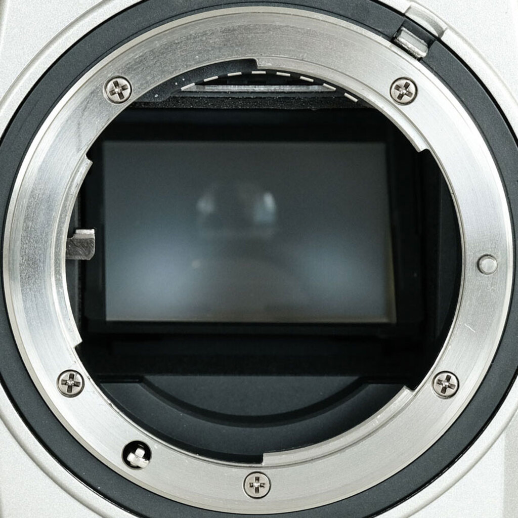 Nikon Dfの出品 | ONE SCENE（ワンシーン）