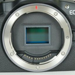 Canon EOS R50