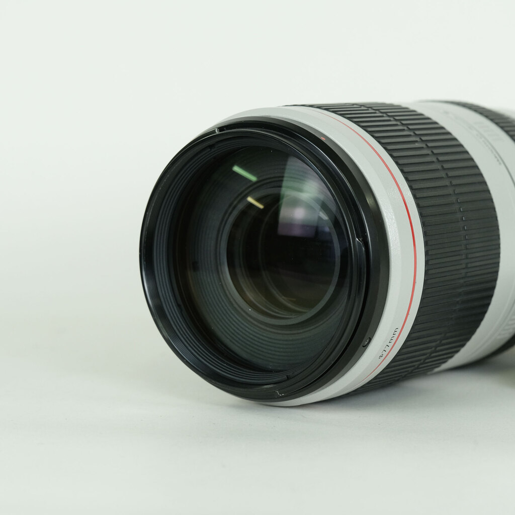 Canon EF100-400mm F4.5-5.6L IS II USM