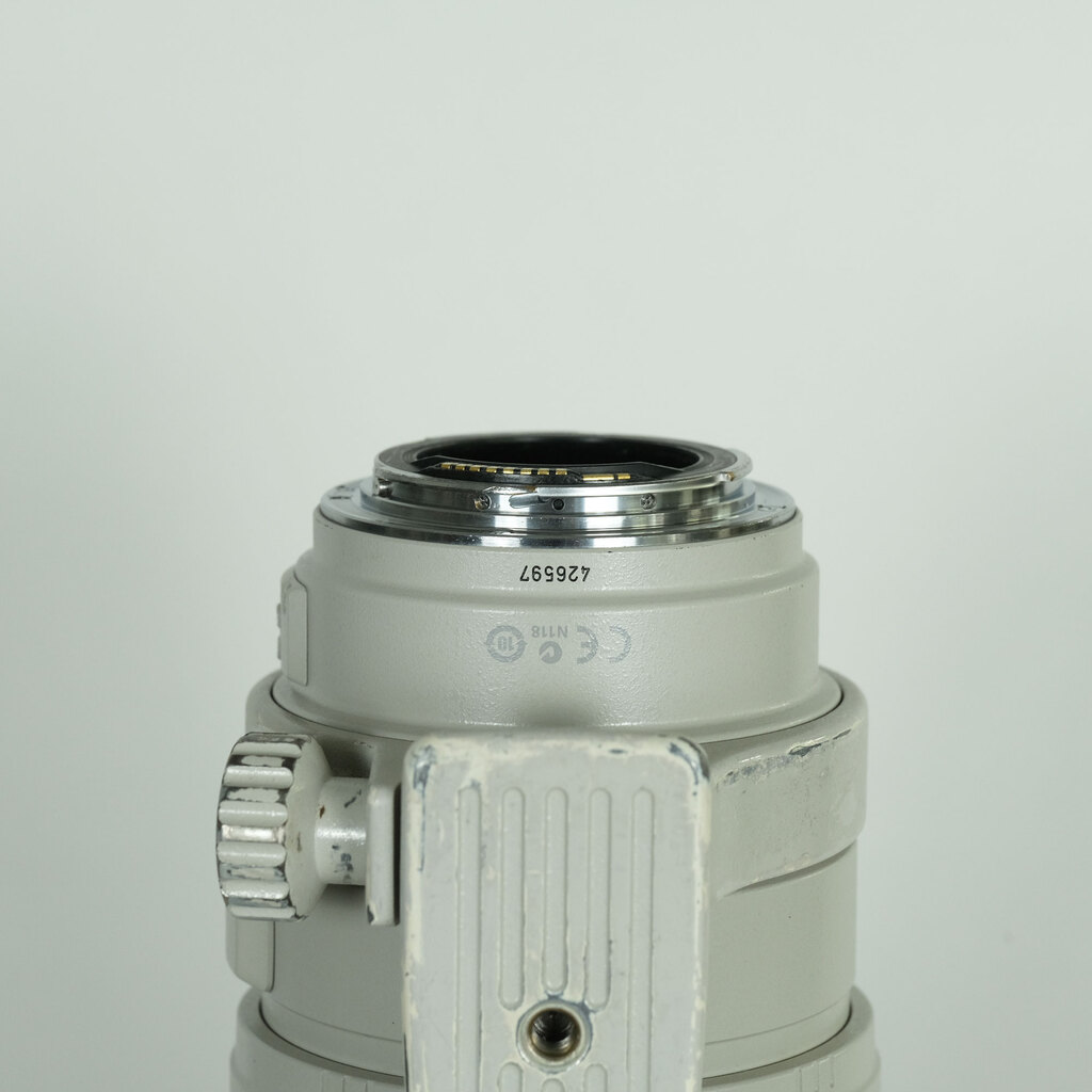 Canon EF100-400mm F4.5-5.6L IS USM