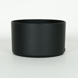 Canon RF100mm F2.8 L MACRO IS USM