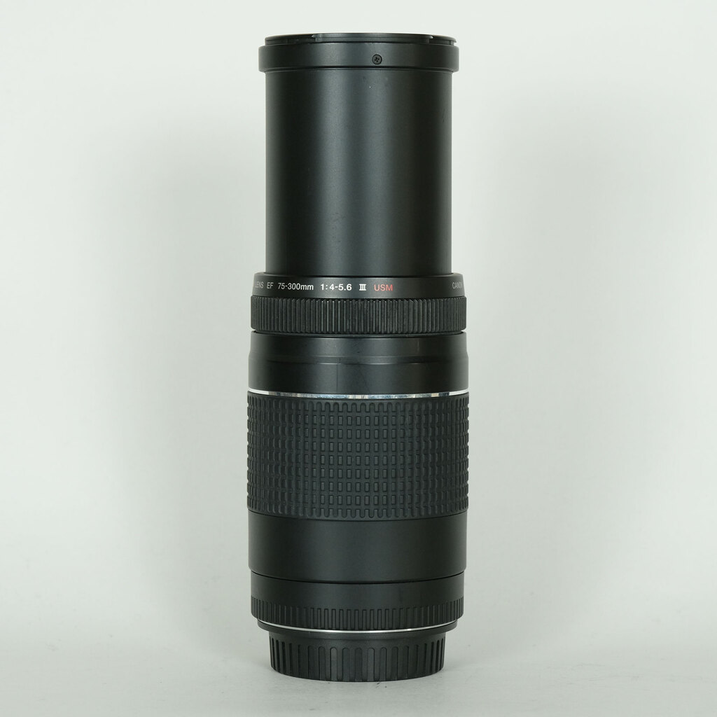 Canon EF75-300mm F4-5.6 III USMの出品 | ONE SCENE（ワンシーン）