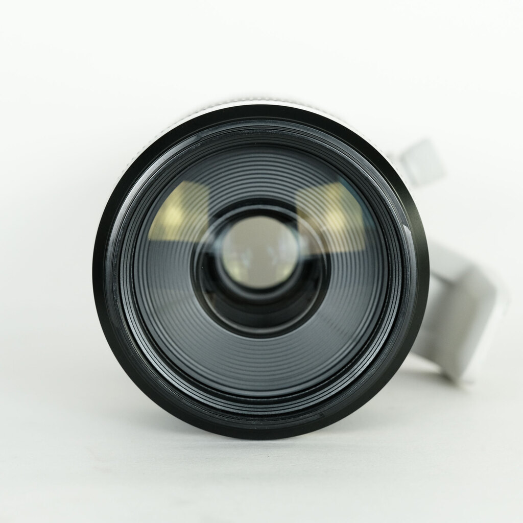 Canon RF100-500mm F4.5-7.1L IS USM