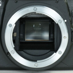 Nikon D40 ブラックボディ