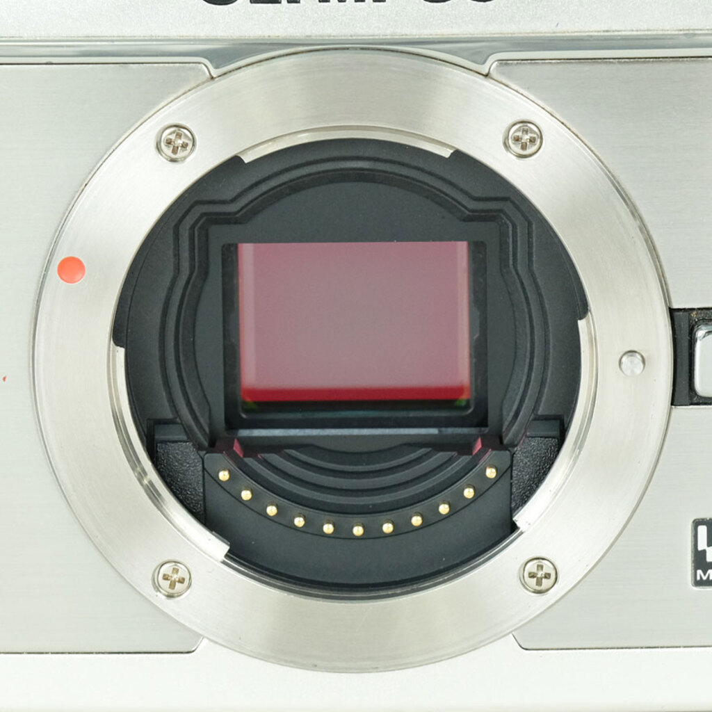 OLYMPUS PEN E-P1 ボディ シルバーの出品 | ONE SCENE（ワンシーン）