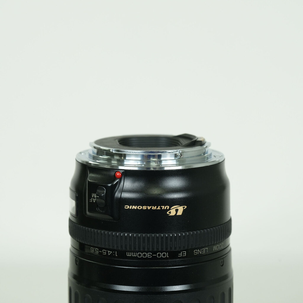 EF100-300mm F4.5-5.6 USM