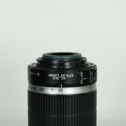 Canon EF-S55-250mm F4-5.6 IS