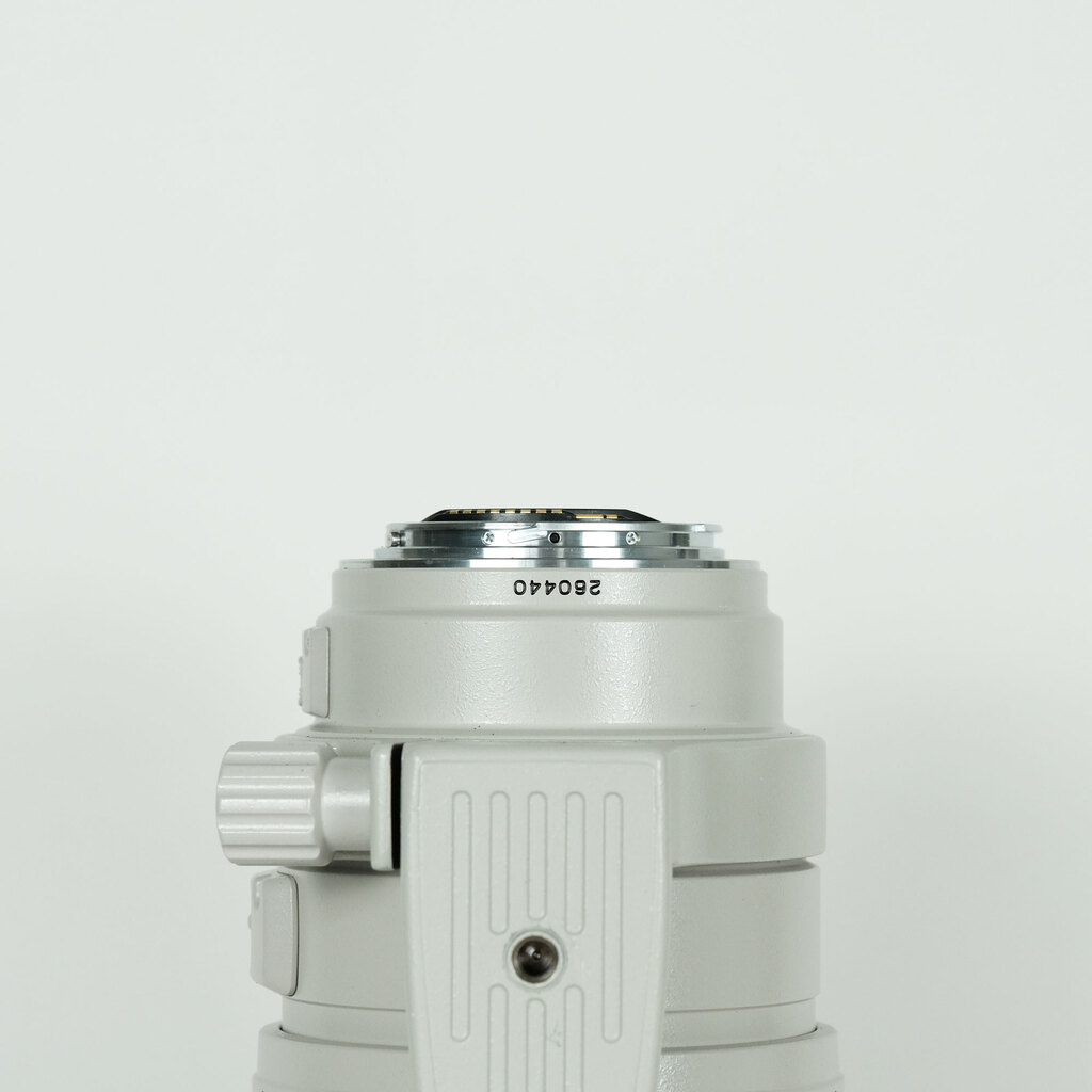 Canon EF100-400mm F4.5-5.6L IS USM