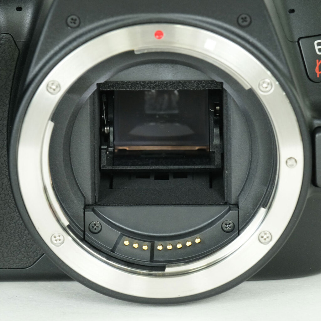 Canon EOS Kiss X10の出品 | ONE SCENE（ワンシーン）
