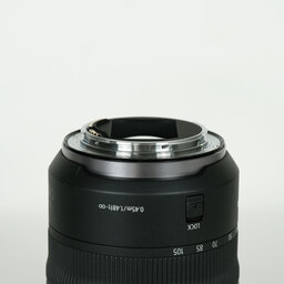 Canon RF24-105mm F4 L IS USM