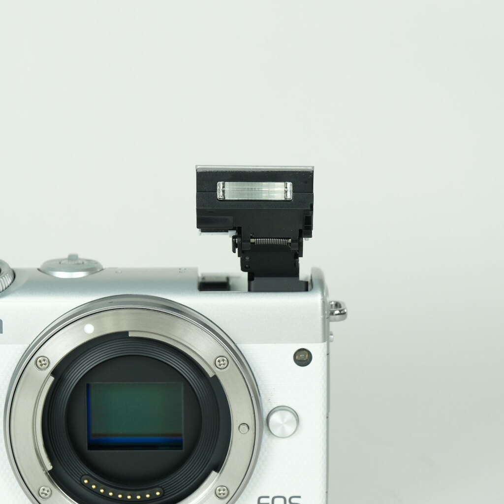 Canon EOS M100の出品 | ONE SCENE（ワンシーン）