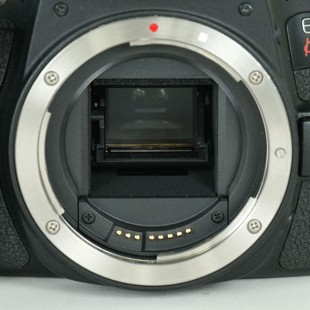 Canon EOS Kiss X9iの出品 | ONE SCENE（ワンシーン）