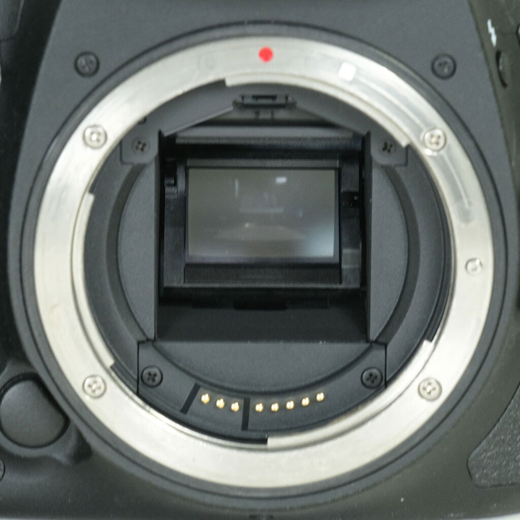 Canon EOS 7D Mark II