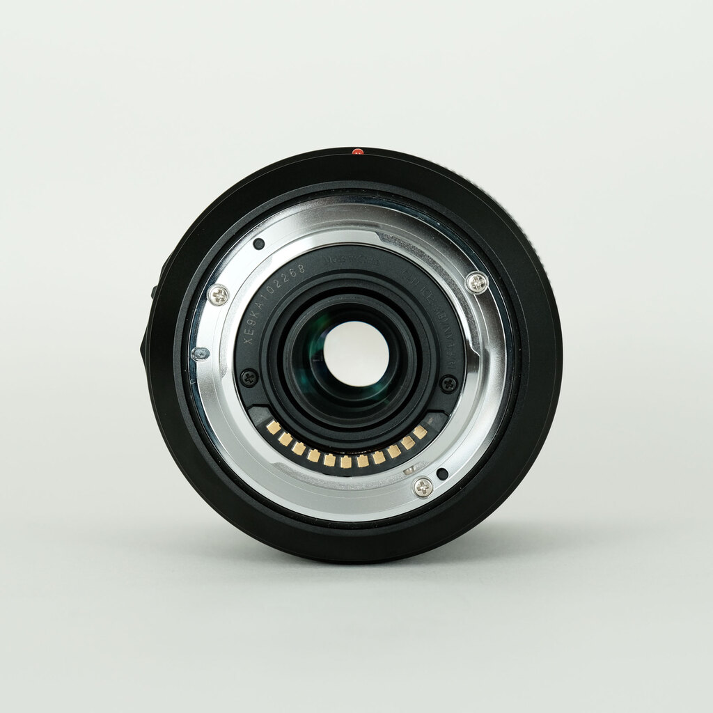 Panasonic LUMIX G VARIO 14-140mm / F3.5-5.6 II ASPH. / POWER O.I.S