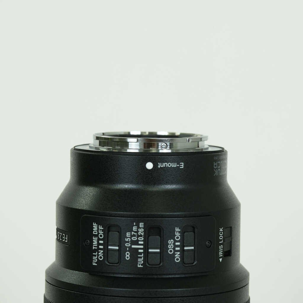SONY FE 100mm F2.8 Macro GM OSS SEL100M28GM