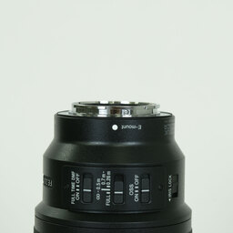 SONY FE 100mm F2.8 Macro GM OSS SEL100M28GM