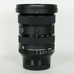 SIGMA 24-70mm F2.8 DG DN II｜Art [ソニーE用]