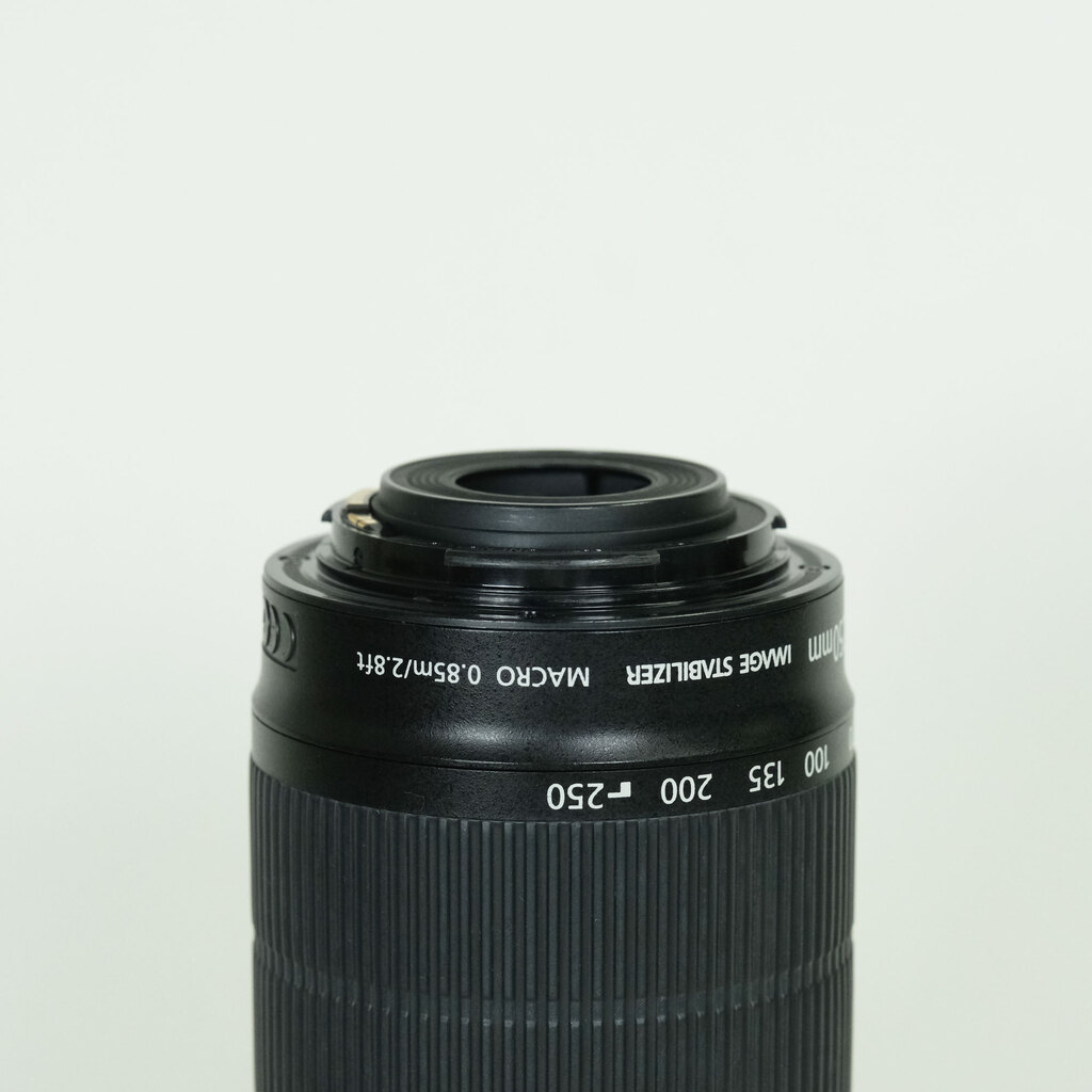 Canon EF-S55-250mm F4-5.6 IS STM