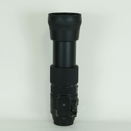 SIGMA 150-600mm F5-6.3 DG OS HSM | Contemporary [キヤノンEF用]