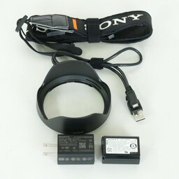 SONY Cyber-shot DSC-RX10M4