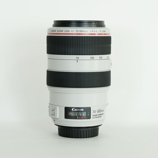 Canon EF70-300mm F4-5.6L IS USM
