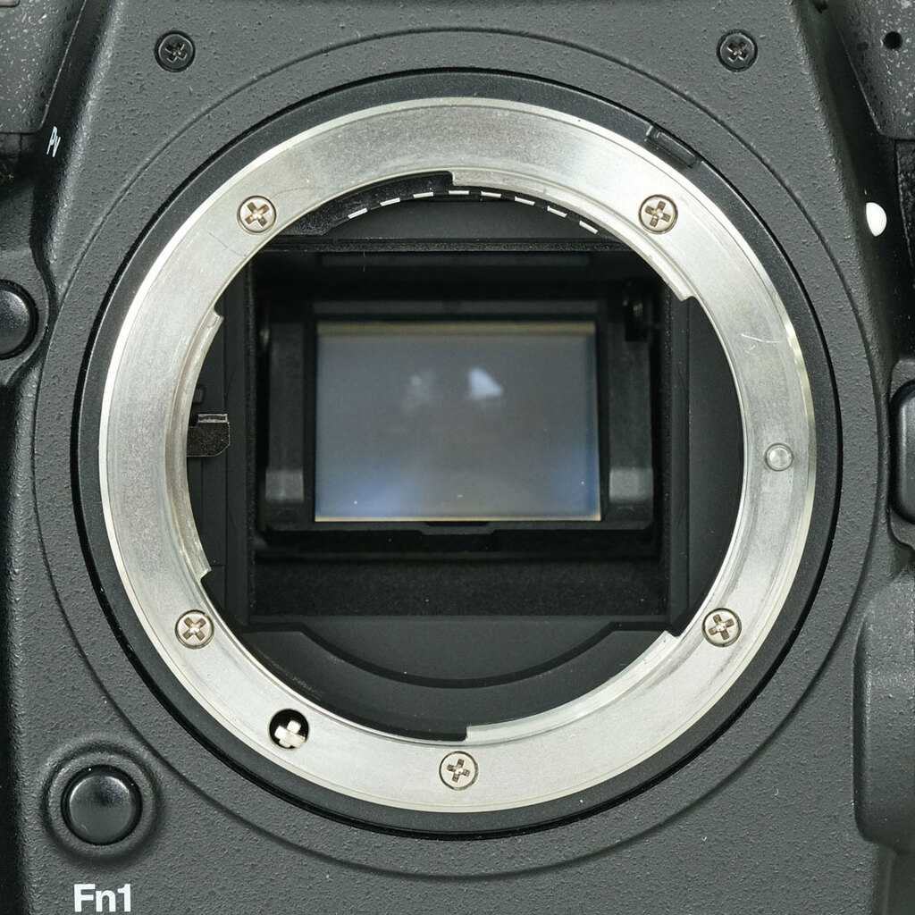 Nikon D500