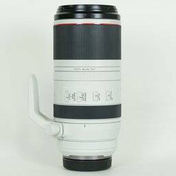 Canon RF100-500mm F4.5-7.1L IS USM Canon RF100-500mm F4.5-7.1L IS USM