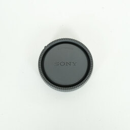 SONY Vario-Tessar T* E 16-70mm F4 ZA OSS SEL1670Z SONY Vario-Tessar T* E 16-70mm F4 ZA OSS SEL1670Z
