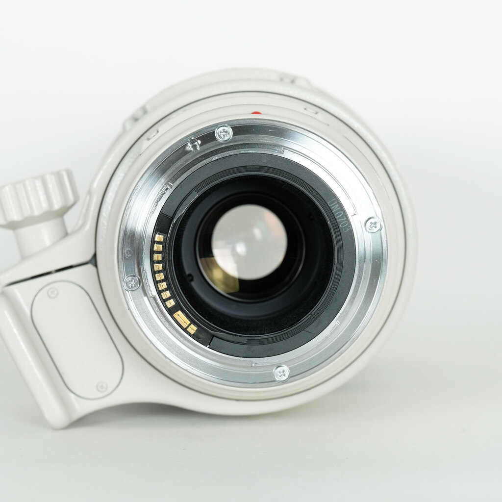 Canon EF100-400mm F4.5-5.6L IS USM