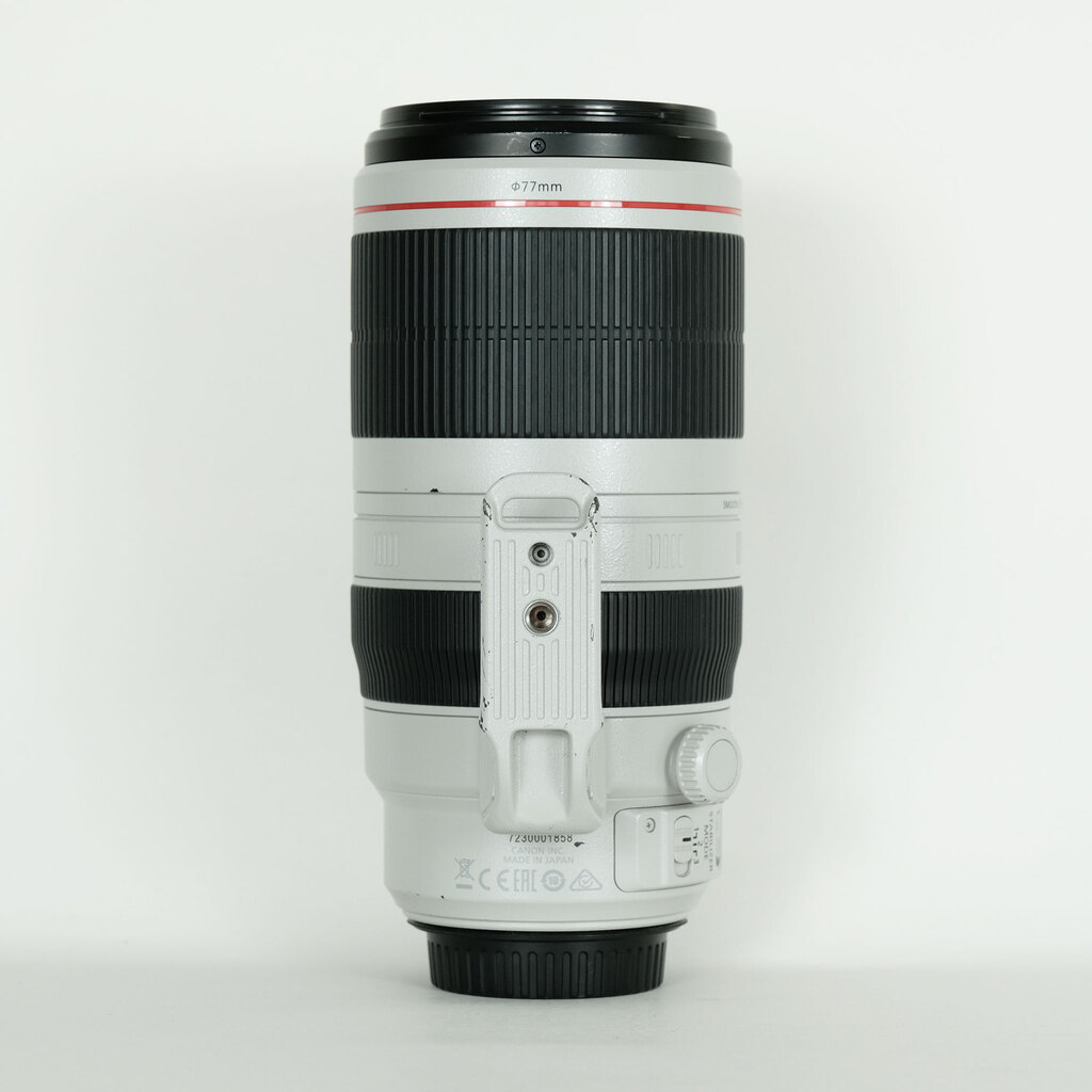 Canon EF100-400mm F4.5-5.6L IS II USM