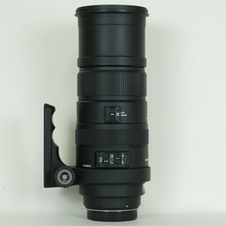 SIGMA APO 150-500mm F5-6.3DG OS HSM (シグマSA用) SIGMA APO 150-500mm F5-6.3DG OS HSM (シグマSA用)