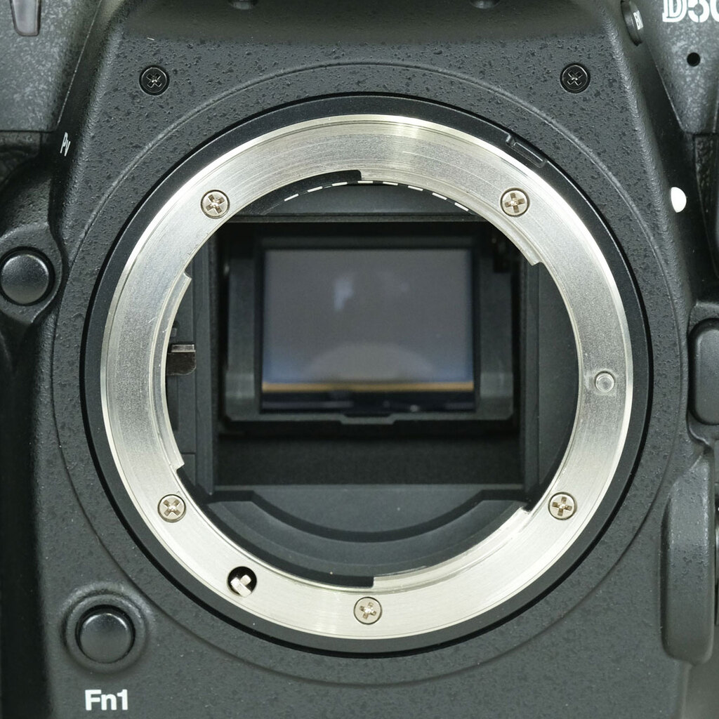 Nikon D500