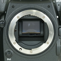 Nikon D500