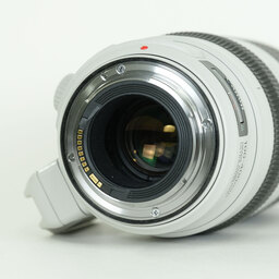 Canon EF100-400mm F4.5-5.6L IS II USM