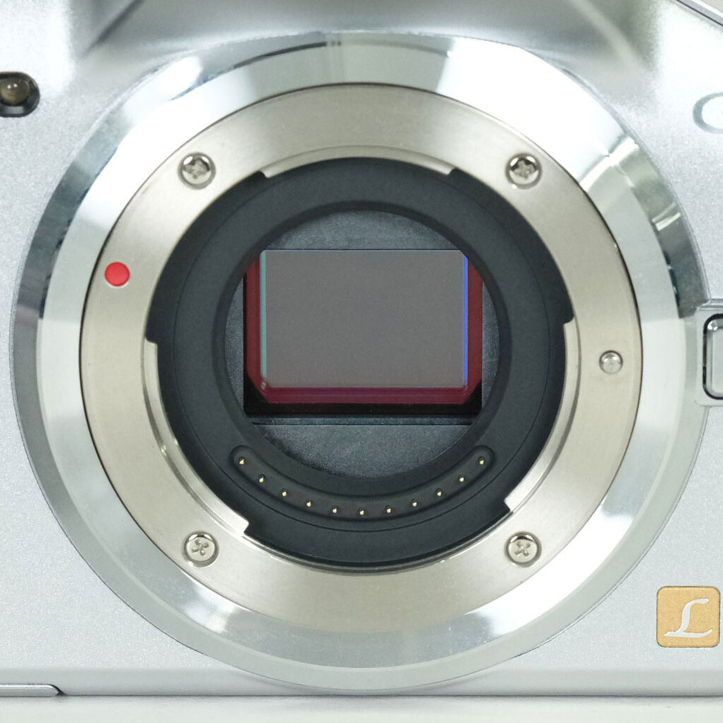 Panasonic LUMIX DMC-G5-S ボディ ソリッドシルバー