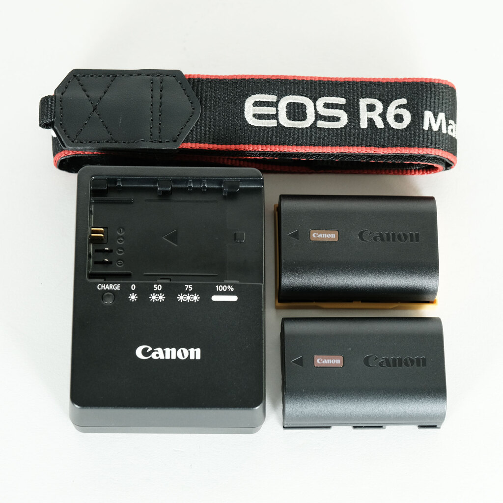 Canon EOS R6 Mark II