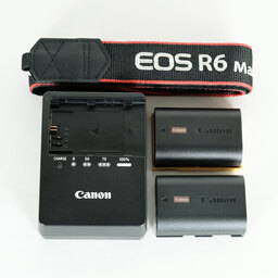 Canon EOS R6 Mark II