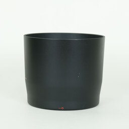 Canon RF100-400mm F5.6-8 IS USM