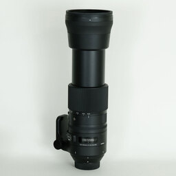 SIGMA 150-600mm F5-6.3 DG OS HSM｜Contemporary [ニコンF用]