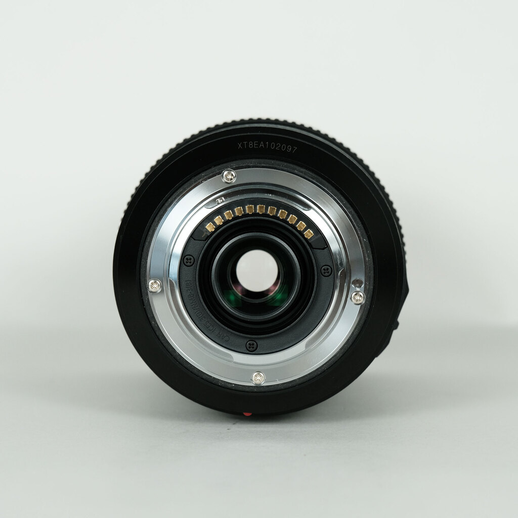 Panasonic LUMIX G VARIO 100-300mm / F4.0-5.6 II / POWER O.I.S.