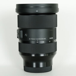 SIGMA 24-70mm F2.8 DG DN｜Art [ソニーE用]